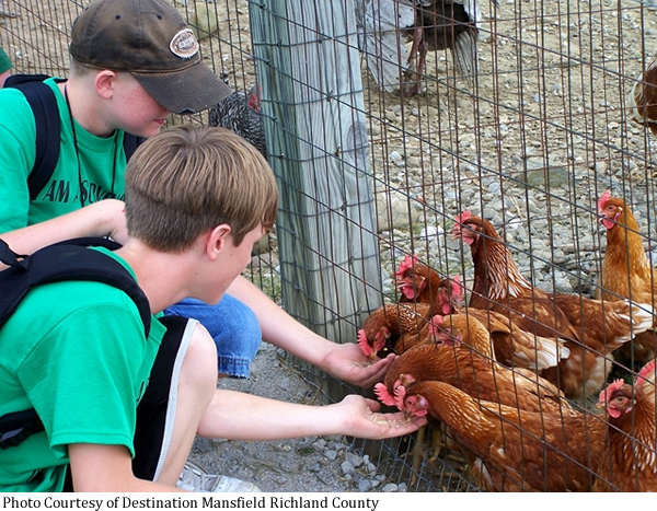 Malabar Farm