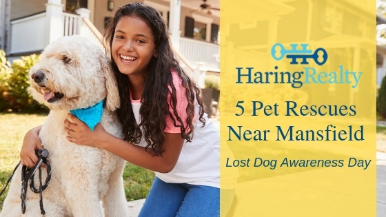 Mansfield Ohio Pet Rescues